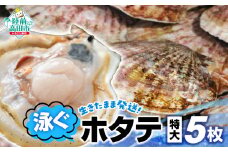 【先行予約 期間限定 】 生きたまま発送 泳ぐホタテ 特大サイズ5枚 【 ほたて 帆立 殻付 新鮮 海鮮 ヤマキイチ商店 こだわり 】令和7年5月～発送開始