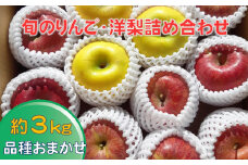 先行予約 【清水農園】 旬のりんご(洋梨含む) 約3kg 品種おまかせ 1種～2種 【 リンゴ 林檎 洋ナシ 果物 フルーツ 期間限定 】 2025年9月頃から発送予定 RT2547