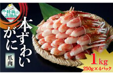 【9月末までの限定受付】　ボイル本ずわいがに 爪肉 1kg (250g×4パック) 便利な小分けパック むき身 ズワイ蟹 カニ爪 ボイル 冷凍 料理 岩手 陸前高田 タイム缶詰 RT2568