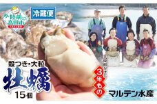 【3月後半発送】殻付き牡蠣15個（生食用）【 予約受付 期間限定 】【 天然 牡蠣 かき 殻付き 生食 大粒 人気 国産 真牡蠣 三陸産 広田湾産 マルテン水産 】 予約受付中