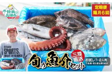【隔月6回定期便 / 下処理する】三陸海の恵み詰め合わせ(1回あたりのお届け目安：1～2人用) 【 無添加 鮮魚 三陸産 国産 天然 海鮮 お刺身 魚介 魚介類 詰め合わせ セット お手軽 】岩手 陸前高田市 産地直送 RT2582