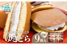 【ゆきのや はっとり】グルテンフリー 米粉のゆきどら 2種9個セット 〈 大納言小豆＆生クリーム / 白いんげん豆＆珈琲クリーム 〉【 どら焼き お菓子 スイーツ ブランド米 たかたのゆめ 100％ 使用 】