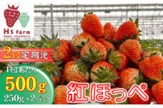【数量限定 / 先行予約】 2回定期便 新鮮いちご〈品種：紅ほっぺ〉 約500g (250g×2パック) Happy Strawberry 旬の時期に収穫してすぐ発送！ 【 訳あり いちご フルーツ 旬 小分け 人気 岩手 陸前高田 】