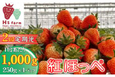 【数量限定 / 先行予約】 2回定期便 新鮮いちご〈品種：紅ほっぺ〉 約1kg (250g×4パック) Happy Strawberry 旬の時期に収穫してすぐ発送！ 【 訳あり いちご フルーツ 旬 小分け 人気 岩手 陸前高田 】