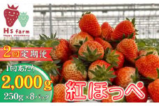 【数量限定 / 先行予約】 2回定期便 新鮮いちご〈品種：紅ほっぺ〉 約2kg (250g×8パック) Happy Strawberry 旬の時期に収穫してすぐ発送！ 【 訳あり いちご フルーツ 旬 小分け 人気 岩手 陸前高田 】