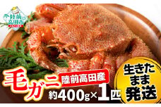 【毛ガニ 約400g×1匹】 陸前高田産 毛ガニ 生きたまま発送！ 【 かに カニ 魚介類 旬 鮮度抜群 産地直送 三陸産 】