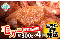 【毛ガニ 約300g×4匹】 陸前高田産 毛ガニ 生きたまま発送！ 【 かに カニ 魚介類 旬 鮮度抜群 産地直送 三陸産 】