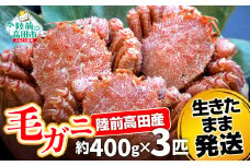【毛ガニ 約400g×3匹】 陸前高田産 毛ガニ 生きたまま発送！ 【 かに カニ 魚介類 旬 鮮度抜群 産地直送 三陸産 】