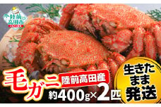 【毛ガニ 約400g×2匹】 陸前高田産 毛ガニ 生きたまま発送！ 【 かに カニ 魚介類 旬 鮮度抜群 産地直送 三陸産 】