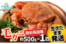 【毛ガニ 約500g×1匹】 陸前高田産 毛ガニ 生きたまま発送！ 【 かに カニ 魚介類 旬 鮮度抜群 産地直送 三陸産 】