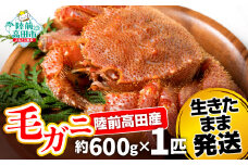 【毛ガニ 約600g×1匹】 陸前高田産 毛ガニ 生きたまま発送！ 【 かに カニ 魚介類 旬 鮮度抜群 産地直送 三陸産 】