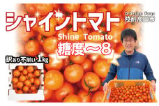 【2025年7月発送】 訳あり 『シャイントマト』 1kg (1000g) 品種：ちばさんさん 【 甘い フルーツトマト β-カロテン ビタミンC 豊富 アイメック 次世代農法 まるでフルーツ 食べると思わず目が輝くことから名付けた「シャイントマト」】RT1838