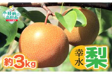 【令和7年夏発送予定】梨 （幸水） 約 3kg  熊谷農園