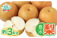 【令和7年夏発送予定】梨 （豊水） 約 3kg  熊谷農園