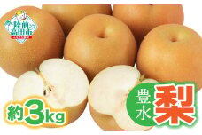 【令和7年夏発送予定】梨 （豊水） 約 3kg  熊谷農園