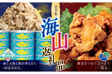 海山返礼品　 ツナ缶（水煮）12缶 × 訳あり 唐揚げ  （800g×2袋）☆ 海の街「陸前高田市」と山の街「一関市」との夢のコラボ返礼品