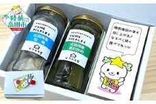 ピクルス 2本 詰め合わせ 〈 広田湾産牡蠣 茎わかめ 〉【 海産物 魚介類 無添加 牡蠣 わかめ 漬物 保存食 健康 酢 カラフル 酢漬け SDGs 】 RT2621