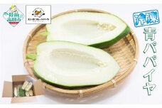 〈便利な小分け〉 冷凍 青パパイヤ 約2kg 【 パパイヤ 冷凍 野菜 炒め物 産地直送 農薬不使用 岩手県 陸前高田市産 】 RT2697