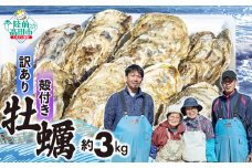 【6月後半発送】 訳あり 殻付き牡蠣 生食用 約3kg 【 牡蠣 かき カキ 殻付き 生食 数量限定 国産 三陸産 広田湾 小友 大和水産 】RT2626 