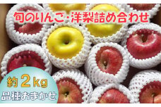 先行予約 【清水農園】 旬のりんご(洋梨含む) 大玉 約2kg 品種おまかせ 1種～2種 【 リンゴ 林檎 洋ナシ 果物 フルーツ 期間限定 】 2025年9月頃から発送予定 RT2826