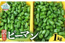 訳あり 規格外 ピーマン 約1kg 【 不揃い 産地直送 新鮮 料理 野菜 大容量 岩手県 陸前高田市 Farm Koganeyama 】 RT2751