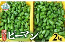 訳あり 規格外 ピーマン 約2kg 【 不揃い 産地直送 新鮮 料理 野菜 大容量 岩手県 陸前高田市 Farm Koganeyama 】 RT2752