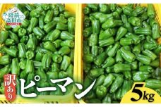 訳あり 規格外 ピーマン 約5kg 【 不揃い 産地直送 新鮮 料理 野菜 大容量 岩手県 陸前高田市 Farm Koganeyama 】 RT2753