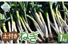 【先行予約】 長ねぎ(土付き)  約1kg 【 ねぎ 長ネギ 白ねぎ 根深ねぎ 産地直送 新鮮 料理 野菜 岩手県 陸前高田市 】 2025年11月下旬から発送予定 RT2727