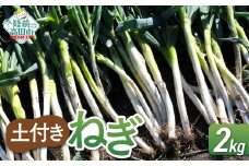 【先行予約】 長ねぎ(土付き)  約2kg 【 ねぎ 長ネギ 白ねぎ 根深ねぎ 産地直送 新鮮 料理 野菜 岩手県 陸前高田市 】 2025年11月下旬から発送予定 RT2756