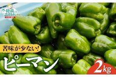 苦みの少ない獲れたて新鮮ピーマン 約2kg 【 産地直送 料理 野菜 岩手県 陸前高田市 Farm Koganeyama 】 RT2760