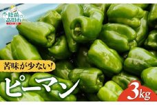 苦みの少ない獲れたて新鮮ピーマン 約3kg 【 産地直送 料理 野菜 岩手県 陸前高田市 Farm Koganeyama 】 RT2749