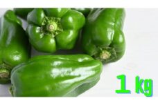 農家直送！ ピーマン 1kg 品種：ニューエース 【 野菜 夏野菜 産地直送 新鮮 軍見洞農園 】 RT2829