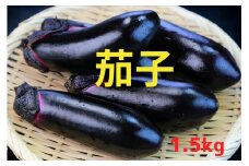 農家直送！ 茄子 1.5kg （目安：9本前後） 品種：黒福 【 なす ナス 野菜 夏野菜 産地直送 新鮮 軍見洞農園 】 RT2827