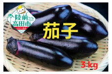 農家直送！ 茄子 3kg （目安：18本前後） 品種：黒福 【 なす ナス 野菜 夏野菜 産地直送 新鮮 軍見洞農園 】 RT2828