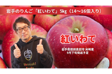 先行予約 【奇跡の果実】 米崎りんご 紅いわて 5kg 【 リンゴ 岩手県オリジナル品種 旬 新鮮 お届け 岩手 陸前高田 】2025年9月下旬以降発送予定 RT2546