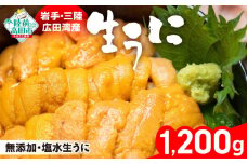 7/10まで特別価格 【事業者緊急支援品】 生うに 1200g (200g×6パック) 塩水パック 獲れたその日に出荷！ 【 ムラサキウニ 無添加 濃厚 天然 ミョウバン不使用 数量限定 三陸産 】 RT1627
