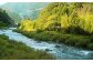 豊かな海は、豊かな山のめぐみがあってこそ。