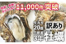 【11月後半お届け】三陸産 『 殻付き牡蠣 (生食用)』20個 【訳あり/規格外品】※感謝！ 11,000件突破！【 訳あり 天然 牡蠣 かき 殻付き 生食 焼き牡蠣 蒸し牡蠣 人気 国産 陸前高田 三陸産 広田湾産 小友 マルテン水産 】