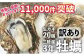 三陸産 殻つき牡蠣 生牡蠣 3年牡蠣 20個　