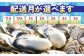 マルテン水産を応援いただいている皆さまへ