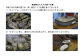 豪快に網の上に乗せて