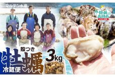 【令和8年4月前半発送】【訳あり・数量限定】 生食用 殻付き牡蠣 約3kg 【 天然 牡蠣 かき カキ 殻付き 生食 真牡蠣 冷蔵 国産 三陸産 広田湾 マルテン水産 】 RT2794