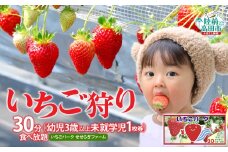 （幼児3歳以上未就学児 1枚券）いちごパーク せせらぎファーム　いちご狩り30分食べ放題チケット