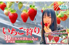 （大人中学生以上 2枚券）いちごパーク せせらぎファーム　いちご狩り30分食べ放題ペアチケット