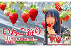 （大人中学生以上 1枚券）いちごパーク せせらぎファーム　いちご狩り30分食べ放題チケット