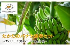 【東北育ちの南国フルーツ】 たかたのバナナ満喫セット 青バナナ 20本前後 バナナの葉付き 【 バナナ 房ごと 品種おまかせ 知育 フルーツ 陸前高田市産 だいわフルーツパーク 】 RT2271