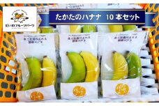 【東北育ちの南国フルーツ】 たかたのバナナ10本セット 【 バナナ 品種おまかせ フルーツ 果物 贈答品 陸前高田市産 だいわフルーツパーク 】 RT2272