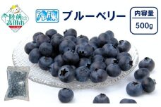 【数量限定】 冷凍ブルーベリー 内容量が選べる 500g×1袋 品種ミックス だいわフルーツパーク 【 産地直送 果物 フルーツ ブルーベリー 食べ比べ ヨーグルト ジャム 】 RT3011