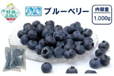 【数量限定】 冷凍ブルーベリー 内容量が選べる 500g×2袋 (計1,000g) 品種ミックス だいわフルーツパーク 【 産地直送 果物 フルーツ ブルーベリー 食べ比べ ヨーグルト ジャム 】 RT3012