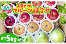 【先行予約 / 10月発送】 おまかせ フルーツ詰合せ 約 5kg (目安：4～5種程度) 【 梨 りんご 洋ナシ ゆず 旬 果物 食べ比べ 詰め合わせ 大和農園 】RT2511